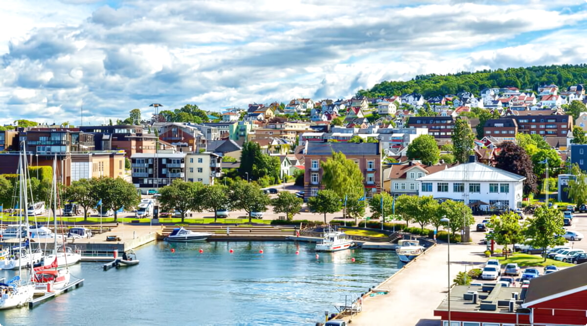 Il nostro inventario include una vasta gamma di veicoli.